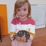 phoca_thumb_m_elva 25 Fotogalerie